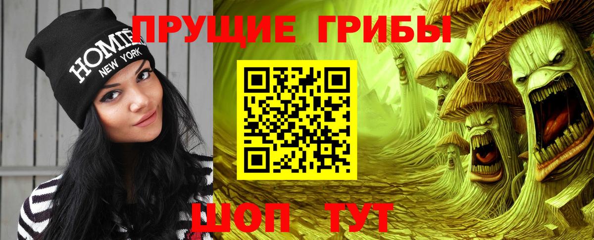 Галлюциногенные грибы GOLDEN TEACHER  Вход с VPN  Киселёвск 